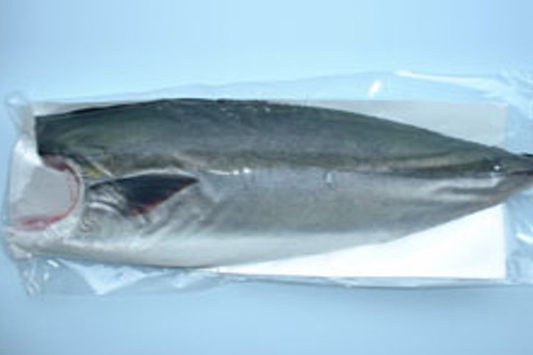 YELLOWTAIL FILLET