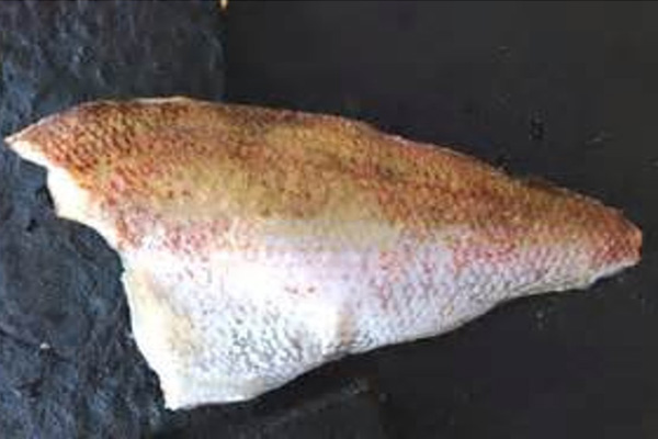 RED SEABREAM FILLET