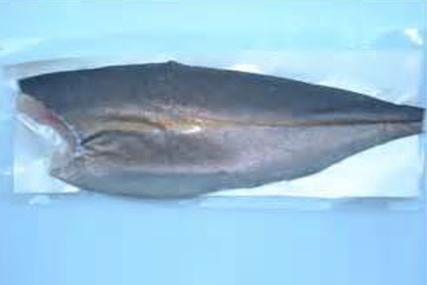 AMBERJACK FILLET