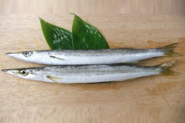 KAMASU