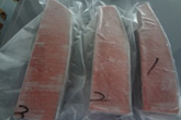 BLUEFIN TUNA BELLY (CHUTORO)