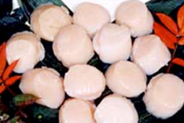 Scallp meat 　(HOTATE S)