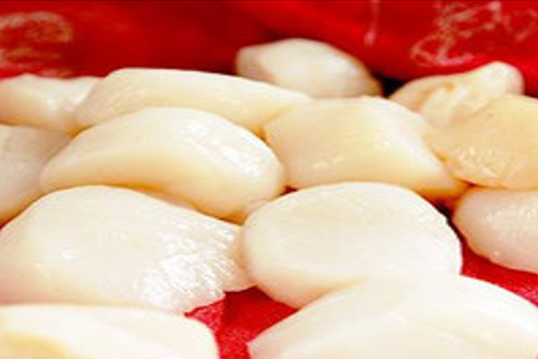 Scallp meat 　(HOTATE L)