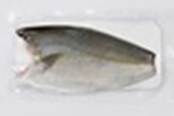 Frozen Amberjack fillet