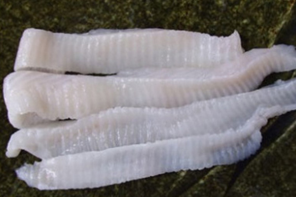 Frozen GREENLAND HALIBUT 