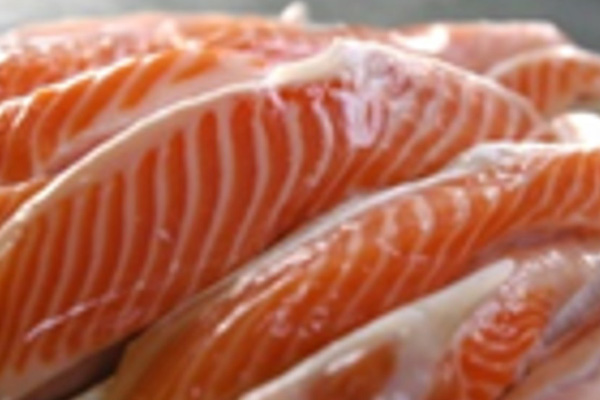 Frozen Salmon belly Chile