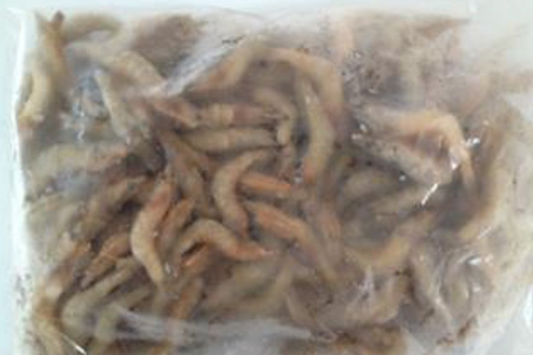 Frozen Pink shrimp Head Skinon