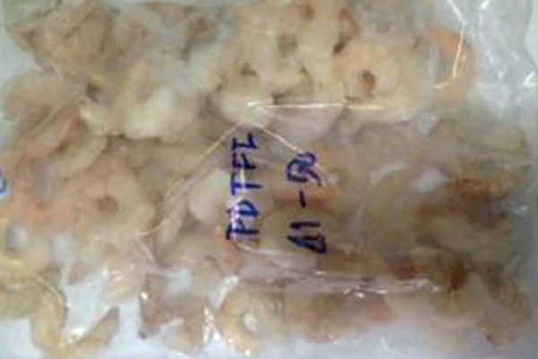 Frozen Pink shrimp Shucked shellfish