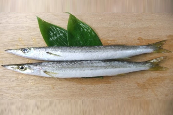 JAPANESE SEASON FISH